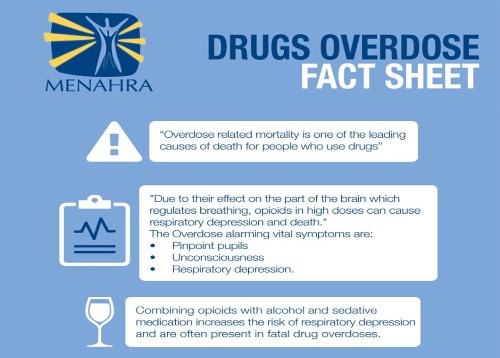 english_factsheet